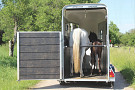 Cheval Liberté Touring One / Aluline 1600kg