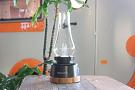 Windlicht met vlam effect ETLT1221