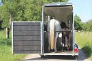 Cheval Liberté Touring One / Aluline 1600kg