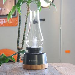 Windlicht met vlam effect ETLT1221