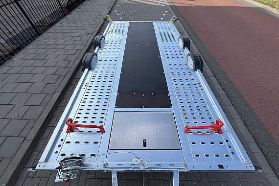 Brain James Autotransporter (29-WPV-4)