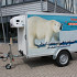 Koelaanhanger Ijsbeer (B-rijbewijs)
