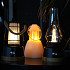 Windlicht met vlam effect ETLT1221