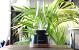 Windlicht met vlam effect ETLT1221
