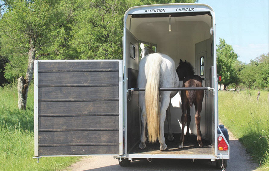 Cheval Liberté Touring One / Aluline 1600kg